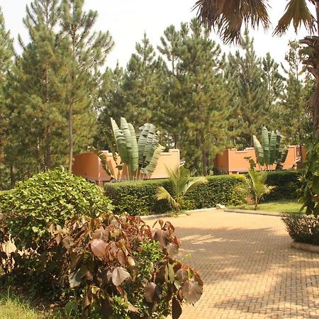 Saltek Forest Cottages Masindi Exterior photo