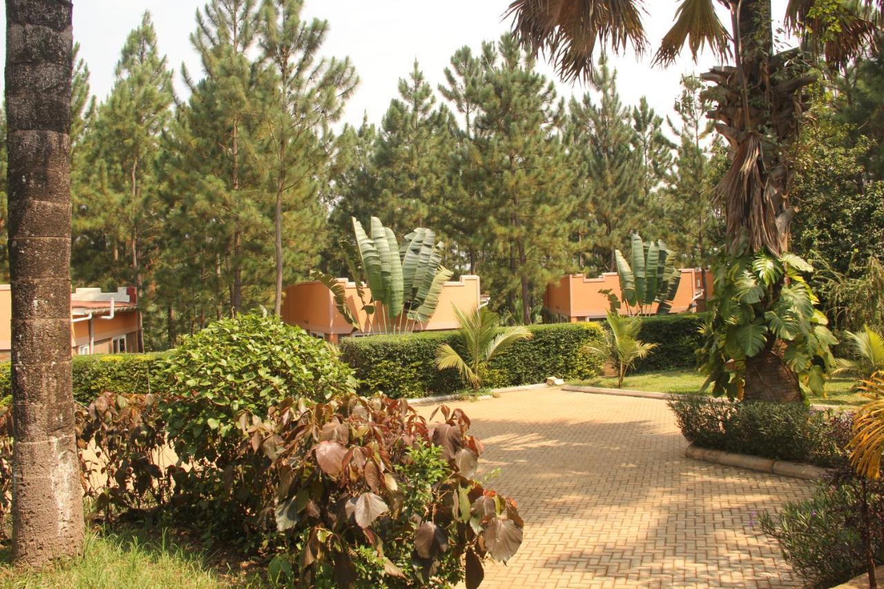 Saltek Forest Cottages Masindi Exterior photo