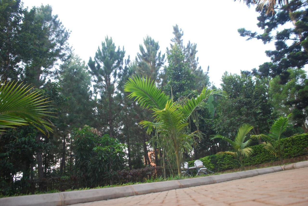 Saltek Forest Cottages Masindi Exterior photo