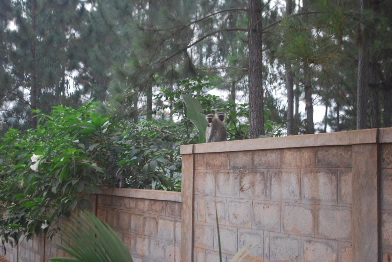 Saltek Forest Cottages Masindi Exterior photo