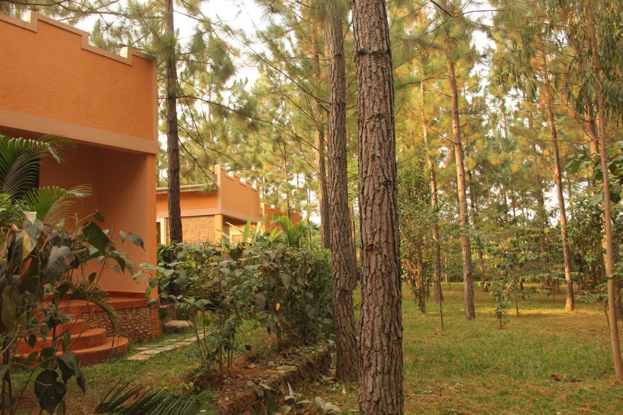 Saltek Forest Cottages Masindi Exterior photo