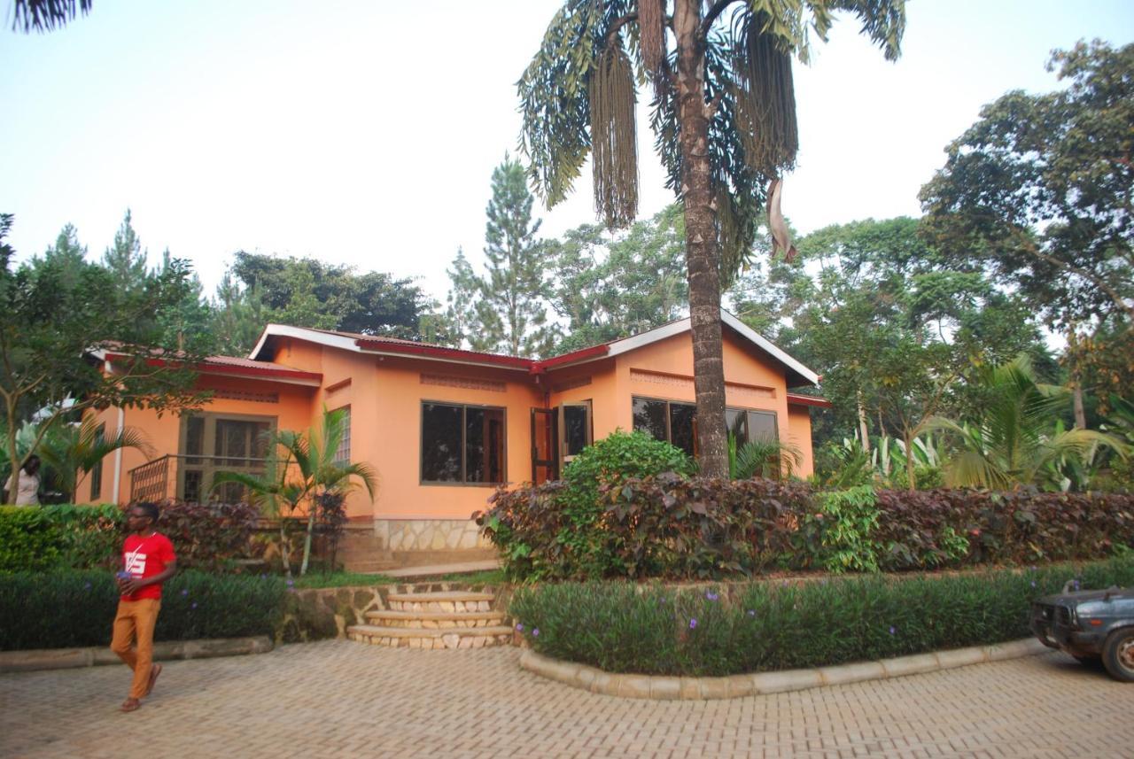Saltek Forest Cottages Masindi Exterior photo