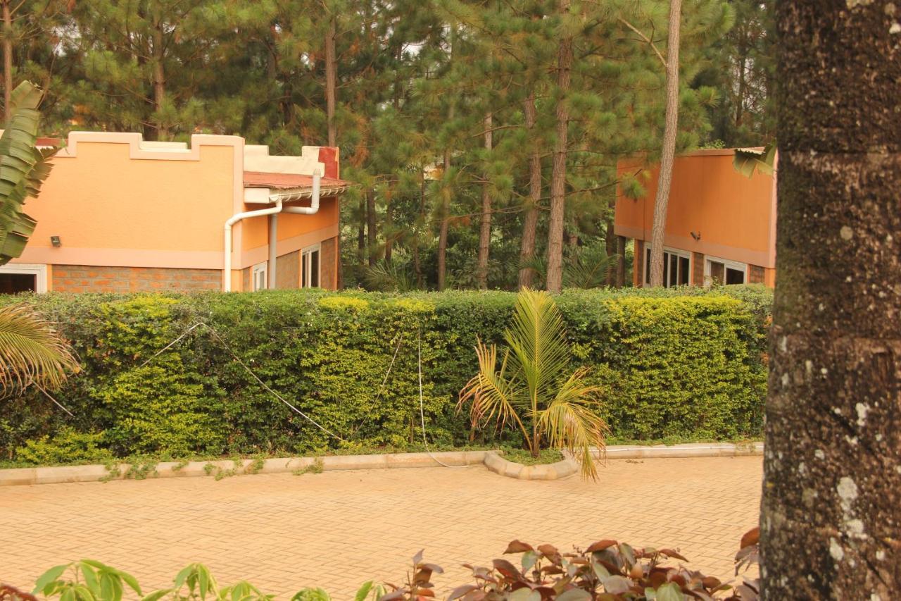 Saltek Forest Cottages Masindi Exterior photo