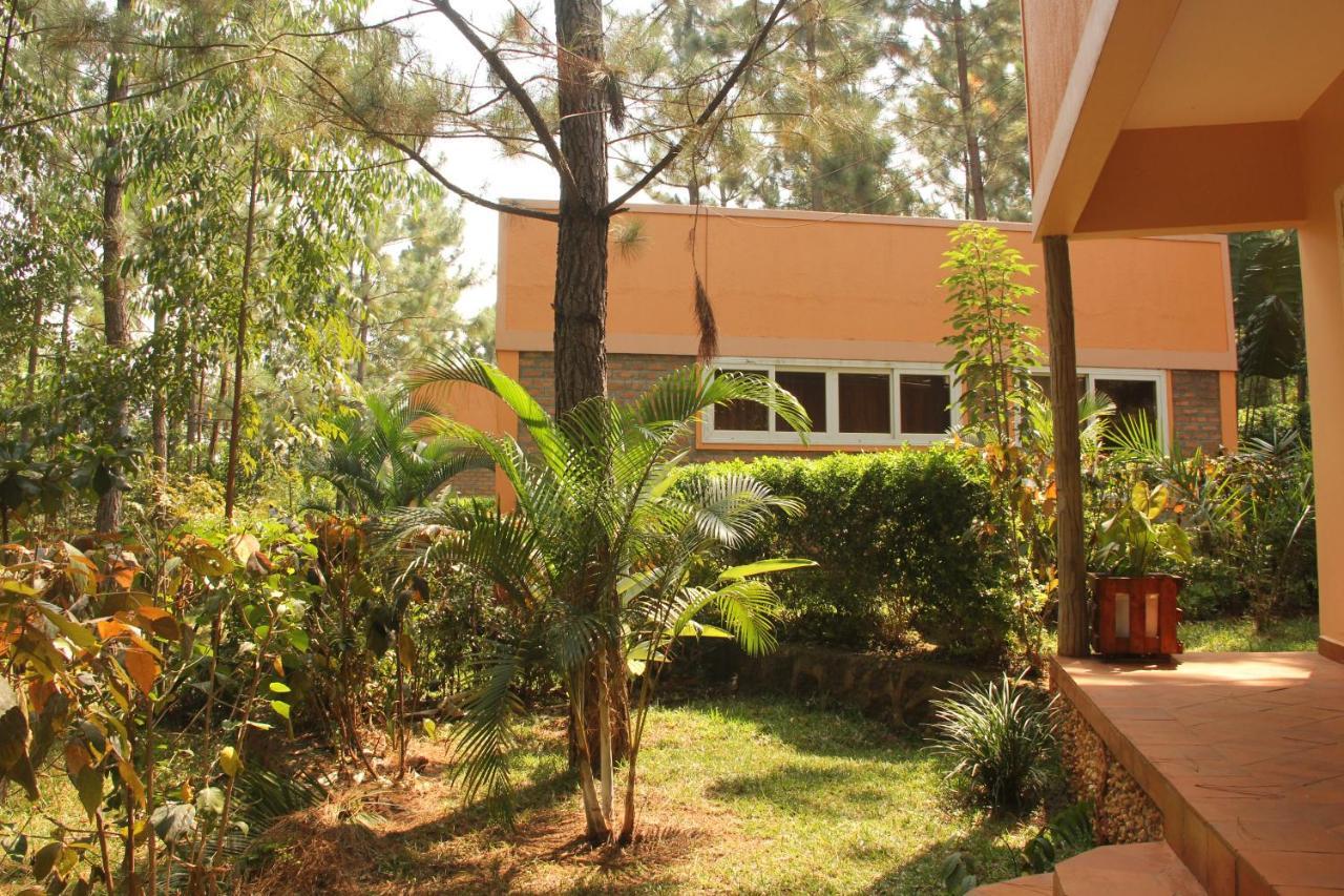 Saltek Forest Cottages Masindi Exterior photo